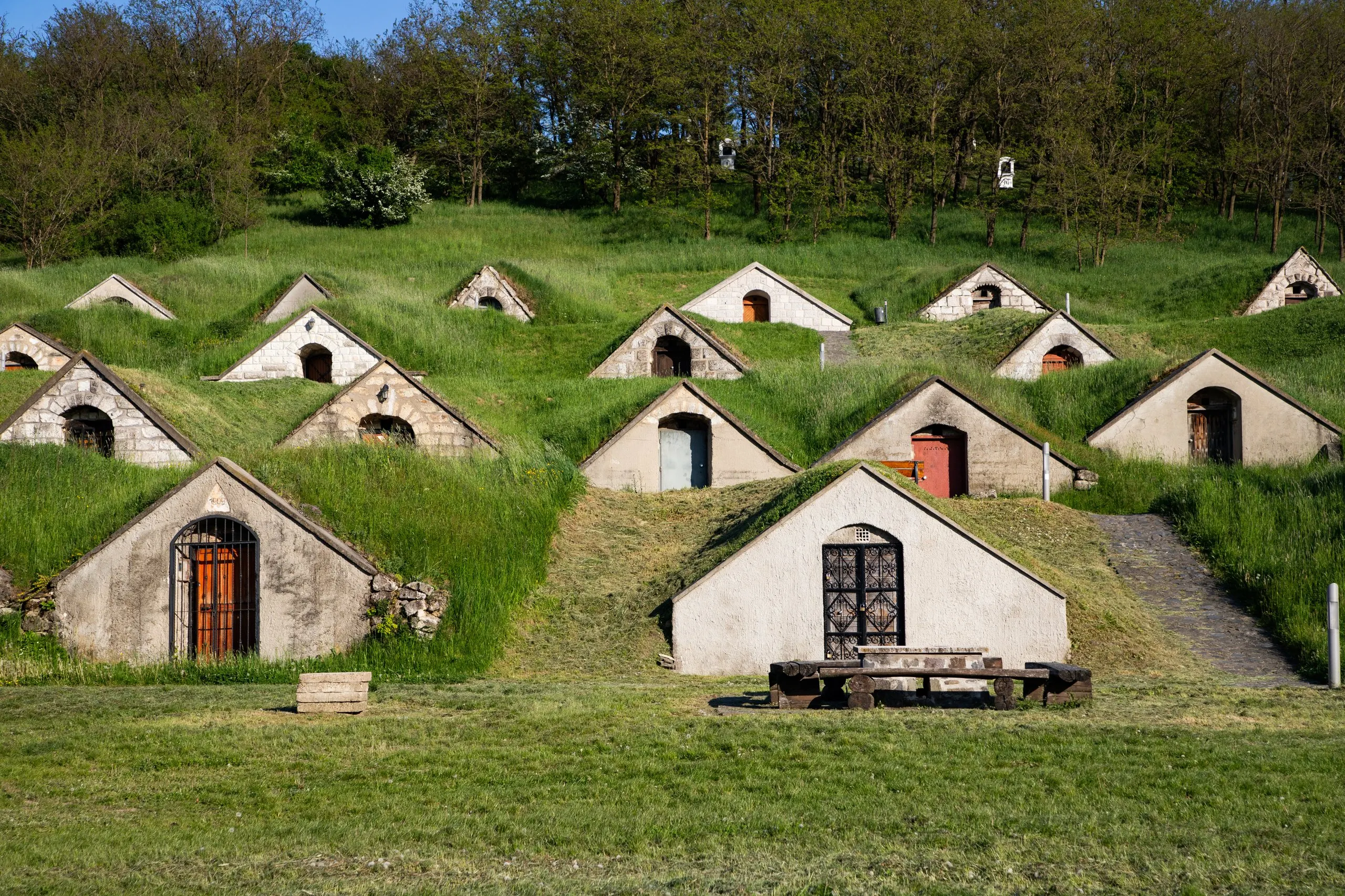 A row of grass-roofed wine cellars set into a green hillside in the Tokaj wine region.