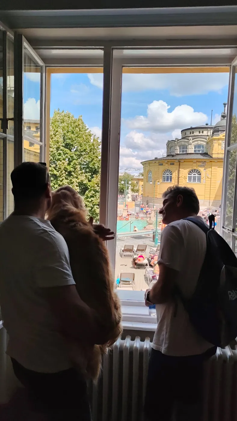 Looking down on the Széchenyi thermal baths from an upstairs window